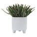 16970 Outdoor/Lawn & Garden/Planters