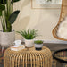 14770-02 Outdoor/Lawn & Garden/Planters