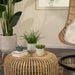14770-03 Outdoor/Lawn & Garden/Planters
