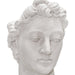 15021 Outdoor/Lawn & Garden/Planters