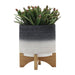 15034-02 Outdoor/Lawn & Garden/Planters
