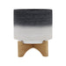 15034-02 Outdoor/Lawn & Garden/Planters