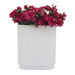 16937-01 Decor/Decorative Accents/Vases
