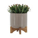 15817-02 Outdoor/Lawn & Garden/Planters