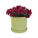 16042-01 Outdoor/Lawn & Garden/Planters