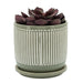 14771-01 Outdoor/Lawn & Garden/Planters