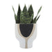 16782-03 Outdoor/Lawn & Garden/Planters