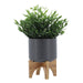 15798-01 Outdoor/Lawn & Garden/Planters