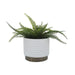 14949-05 Outdoor/Lawn & Garden/Planters