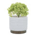 14949-05 Outdoor/Lawn & Garden/Planters