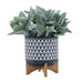 15035-01 Outdoor/Lawn & Garden/Planters