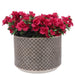 16628-01 Outdoor/Lawn & Garden/Planters