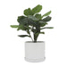 16039-01 Outdoor/Lawn & Garden/Planters
