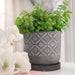 14768-01 Outdoor/Lawn & Garden/Planters