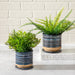 14772-05 Outdoor/Lawn & Garden/Planters