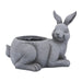 16749-02 Outdoor/Lawn & Garden/Planters
