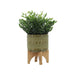 15036-04 Outdoor/Lawn & Garden/Planters