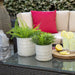 14807-07 Outdoor/Lawn & Garden/Planters