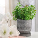 14769-01 Outdoor/Lawn & Garden/Planters