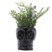16385-01 Decor/Decorative Accents/Vases