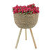 16311 Outdoor/Lawn & Garden/Planters