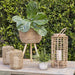 16311 Outdoor/Lawn & Garden/Planters