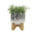 16579-01 Outdoor/Lawn & Garden/Planters