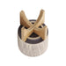 16118-01 Outdoor/Lawn & Garden/Planters