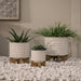 15056-03 Outdoor/Lawn & Garden/Planters
