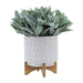 15033-01 Outdoor/Lawn & Garden/Planters