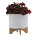 15781-01 Outdoor/Lawn & Garden/Planters