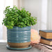 14773-05 Outdoor/Lawn & Garden/Planters
