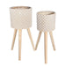 14533-03 Outdoor/Lawn & Garden/Planters
