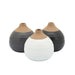 12681-02 Decor/Decorative Accents/Vases