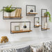 12681-02 Decor/Decorative Accents/Vases