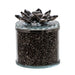 15420-01 Decor/Decorative Accents/Boxes