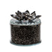 15420-02 Decor/Decorative Accents/Boxes