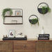 14401-02 Decor/Wall Art & Decor/Wall Shelves