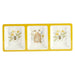 92528 Dining & Entertaining/Serveware/Serveware Collections