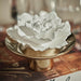 CH-6371 Decor/Candles & Diffusers/Scents & Diffusers