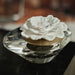 CH-6381 Decor/Candles & Diffusers/Scents & Diffusers