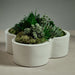 VT-1401 Outdoor/Lawn & Garden/Planters