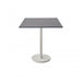 P75X75HPSDG Outdoor/Patio Furniture/Outdoor Tables