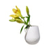 1016815514 Decor/Decorative Accents/Vases