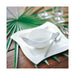 1025252619 Dining & Entertaining/Dinnerware/Dinner Plates