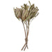 H1BAP000 Decor/Faux Florals/Floral Arrangements
