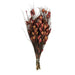 H1BFS475 Decor/Faux Florals/Floral Arrangements