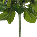 FL170201 Decor/Faux Florals/Plants & Trees
