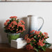 FL170202 Decor/Faux Florals/Plants & Trees