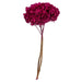H1HYD450 Decor/Faux Florals/Floral Arrangements